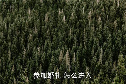 参加婚礼 怎么进入