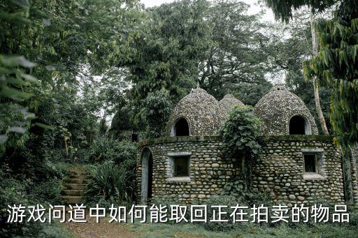 问道手游拍卖东西怎么取走，游戏问道中如何能取回正在拍卖的物品