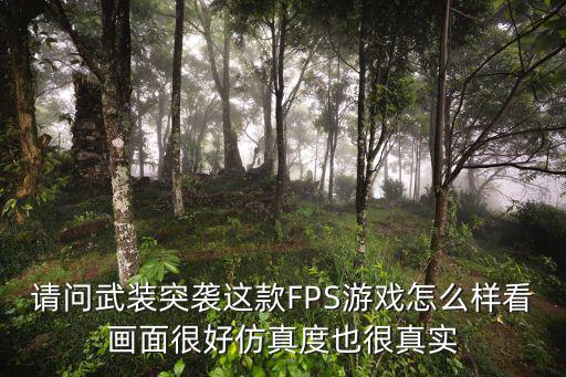 请问武装突袭这款FPS游戏怎么样看画面很好仿真度也很真实