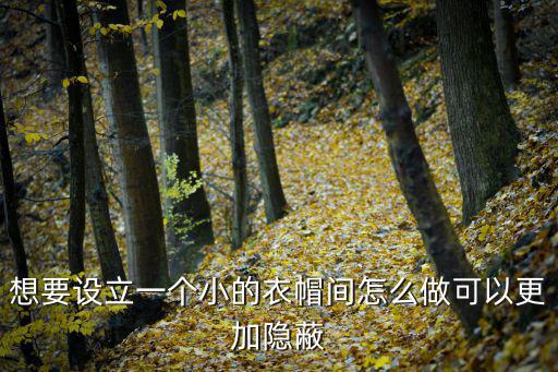 想要设立一个小的衣帽间怎么做可以更加隐蔽