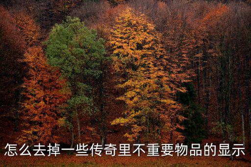 怎么去掉一些传奇里不重要物品的显示
