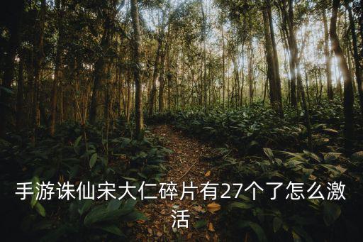 诛仙手游怎么刷宋大仁技能，诛仙手游宋大仁多少碎片换一个正卡