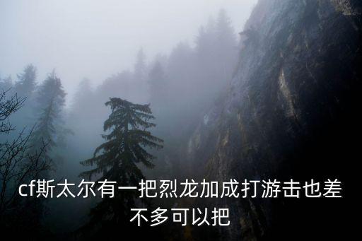 cf斯太尔有一把烈龙加成打游击也差不多可以把