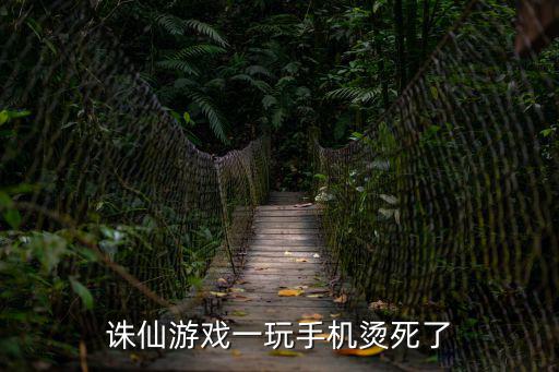诛仙手游鼠标烫手怎么办，诛仙游戏一些问题