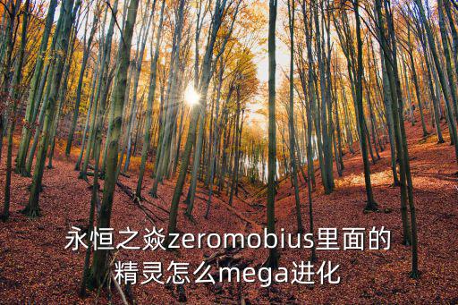 永恒之焱zeromobius里面的精灵怎么mega进化
