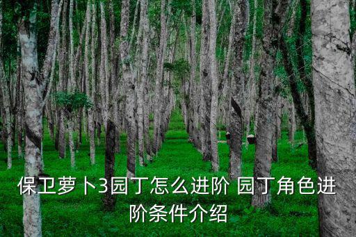 怎么玩改版园丁手游，第五人格园丁玩法攻略 第五人格园丁适合新手玩吗