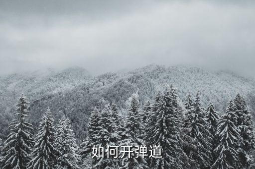 使命召唤手游怎么开子弹弹道，使命召唤4游戏 怎么用标枪导弹啊用电脑的那个键啊