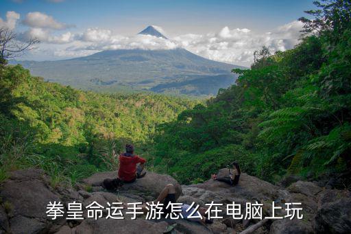 拳皇命运手游菜鸡怎么玩，拳皇命运手游怎么在电脑上玩