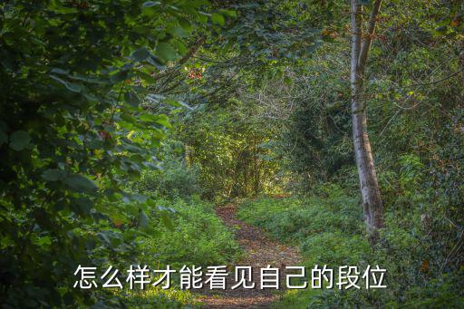 怎么样才能看见自己的段位