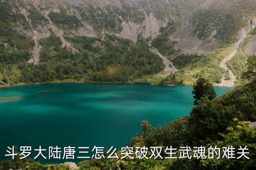 斗罗大陆唐三怎么突破双生武魂的难关