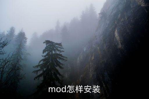 mod怎样安装