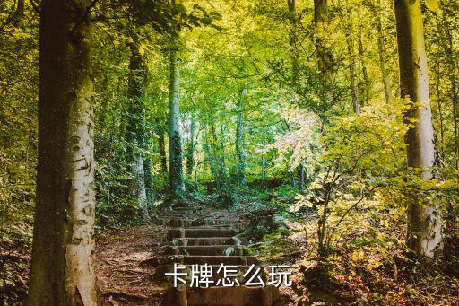 卡牌怎么玩