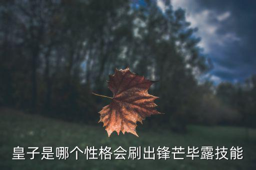 皇子是哪个性格会刷出锋芒毕露技能