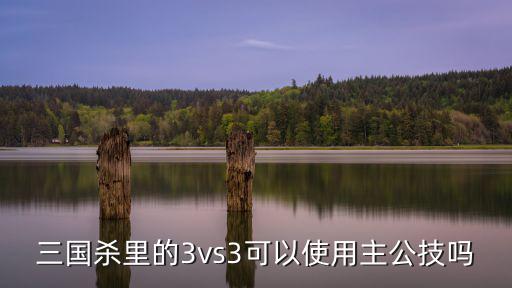 手游三国杀组队怎么不可以抢主公，三国杀里的3vs3可以使用主公技吗