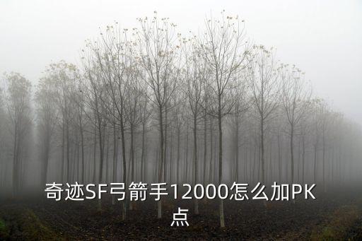 奇迹SF弓箭手12000怎么加PK点