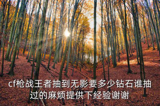 cf枪战王者抽到无影要多少钻石谁抽过的麻烦提供下经验谢谢