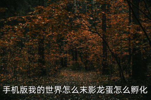 手游我的世界怎么孵化末影蛋，手机版我的世界能不能孵化末影蛋