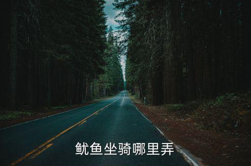 鱿鱼坐骑哪里弄