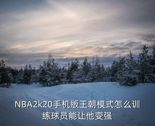 NBA2k20手机版王朝模式怎么训练球员能让他变强