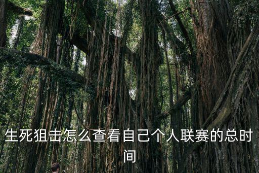 生死狙击怎么查看自己个人联赛的总时间