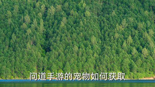 问道手游的宠物如何获取