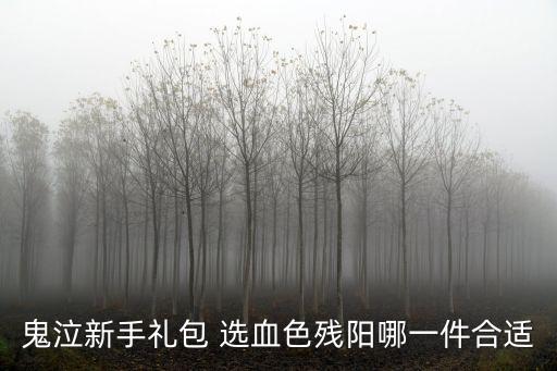 鬼泣新手礼包 选血色残阳哪一件合适