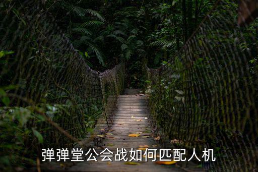 弹弹堂公会战如何匹配人机