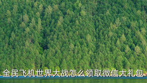 全民飞机大战手游怎么领取，全民飞机世界大战怎么领取微信大礼包