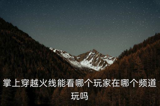 掌上穿越火线能看哪个玩家在哪个频道玩吗
