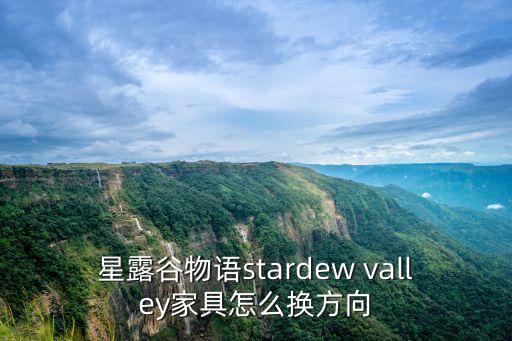 星露谷物语stardew valley家具怎么换方向