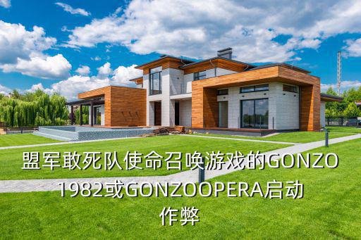 盟军敢死队使命召唤游戏的GONZO1982或GONZOOPERA启动作弊
