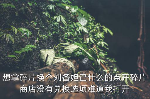 想拿碎片换个刘备妲己什么的点开碎片商店没有兑换选项难道我打开