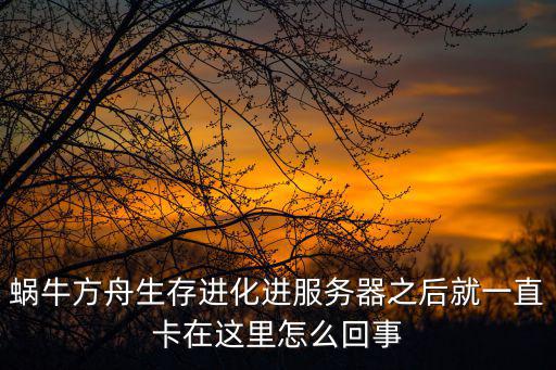 蜗牛方舟生存进化进服务器之后就一直卡在这里怎么回事