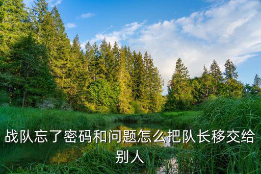 战队忘了密码和问题怎么把队长移交给别人