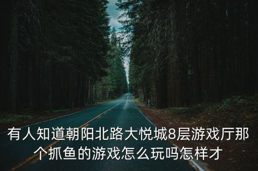 有人知道朝阳北路大悦城8层游戏厅那个抓鱼的游戏怎么玩吗怎样才