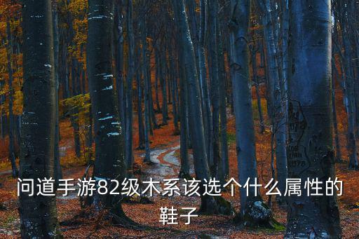 问道手游82级木系该选个什么属性的鞋子