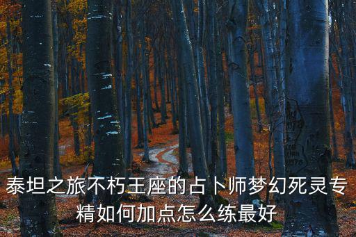 泰坦之旅不朽王座的占卜师梦幻死灵专精如何加点怎么练最好