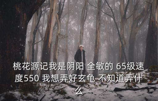 桃花源记我是阴阳 全敏的 65级速度550 我想弄好玄龟 不知道弄什么