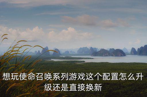 想玩使命召唤系列游戏这个配置怎么升级还是直接换新