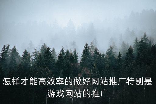 怎样才能高效率的做好网站推广特别是游戏网站的推广