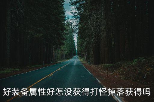 好装备属性好怎没获得打怪掉落获得吗