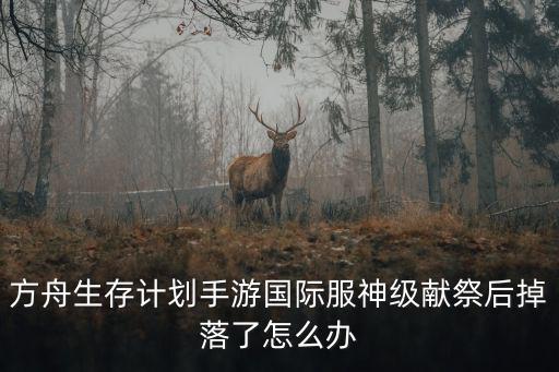 方舟生存计划手游国际服神级献祭后掉落了怎么办