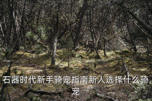 石器时代新手骑宠指南新人选择什么骑宠