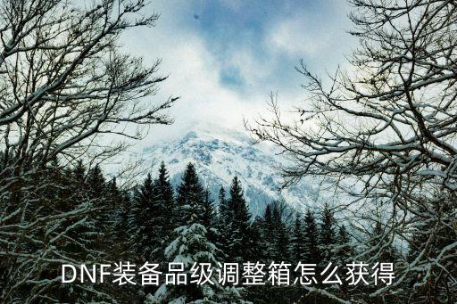 DNF装备品级调整箱怎么获得