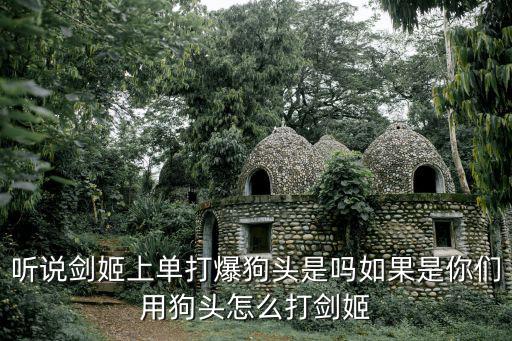 听说剑姬上单打爆狗头是吗如果是你们用狗头怎么打剑姬