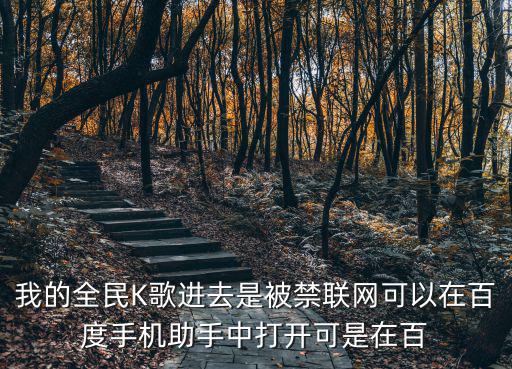 我的全民K歌进去是被禁联网可以在百度手机助手中打开可是在百