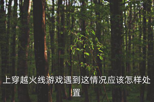 穿越火线手游遇到人机怎么办，CF手游 打排位会不会遇到人机