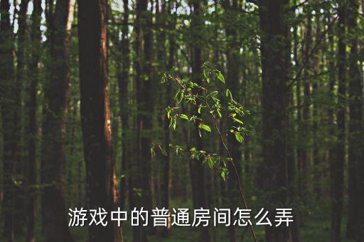 游戏中的普通房间怎么弄