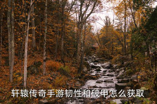 轩辕传奇手游韧性和破甲怎么获取