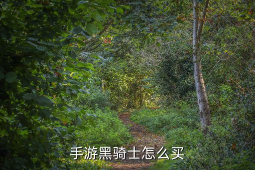 手游黑骑士怎么买